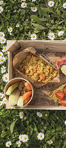 cestino picnic