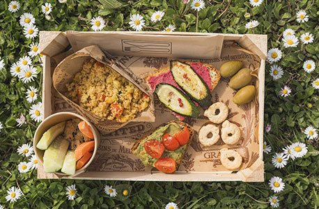 cestino picnic