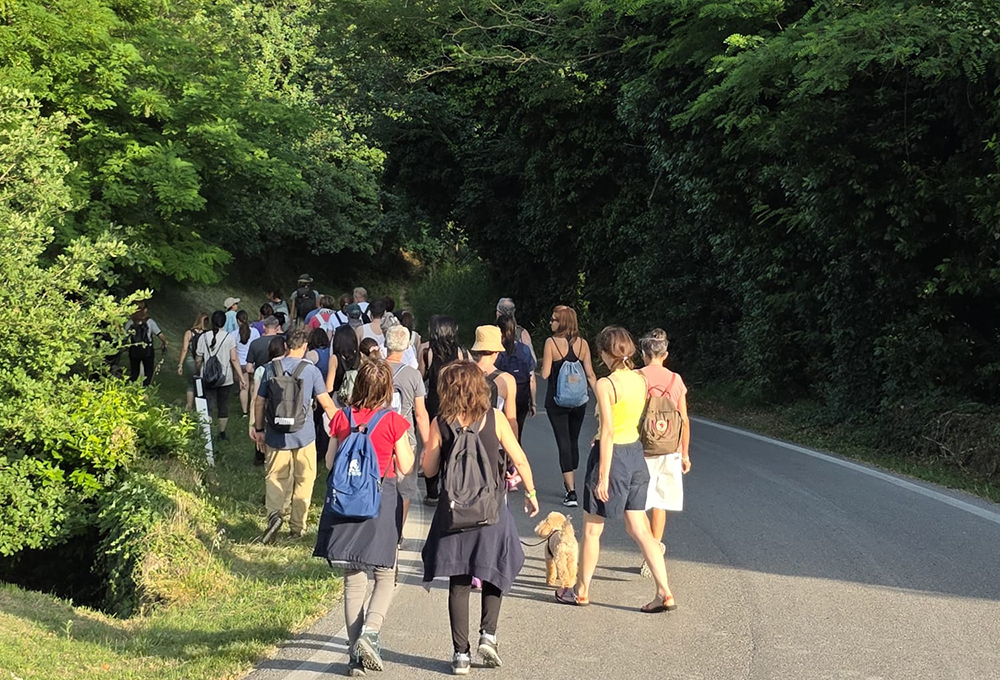 trekking