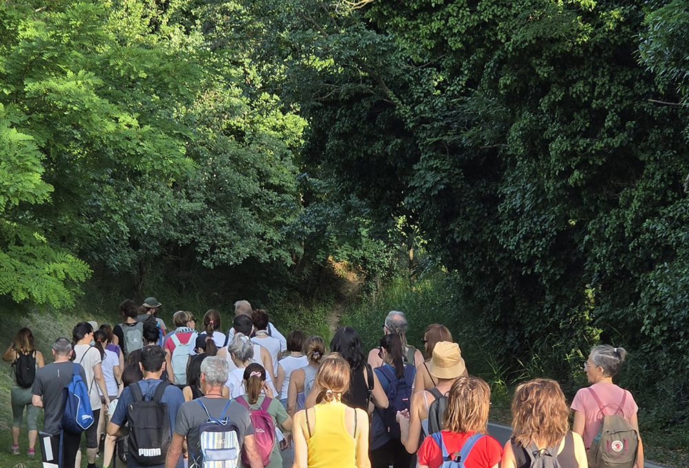 trekking
